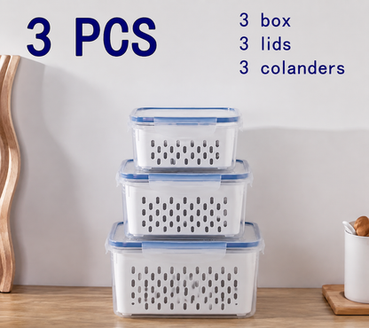 Koko's Food Container